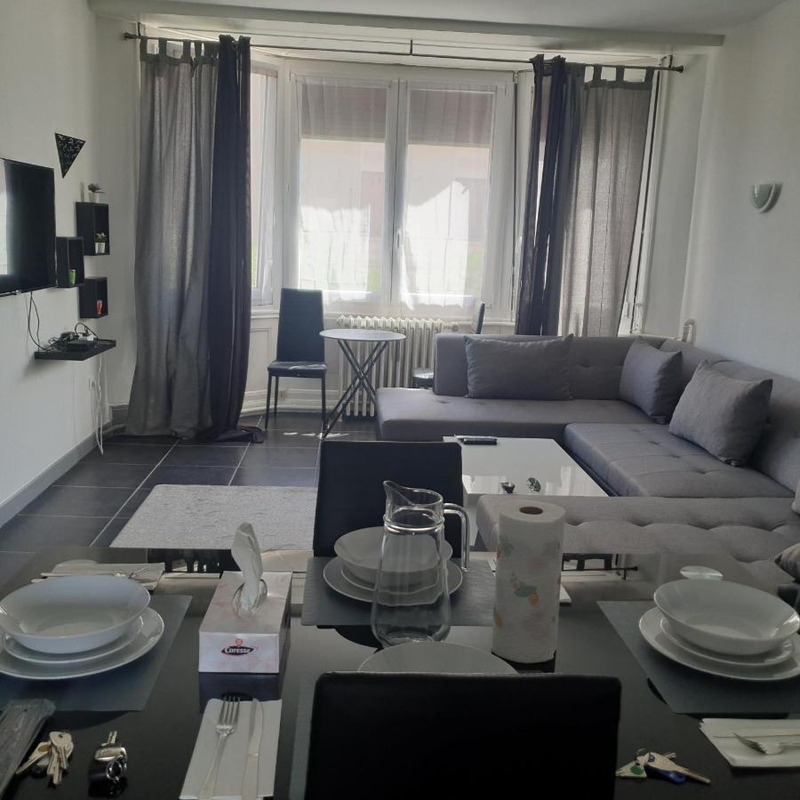 Appartement T2 Courte Duree Coup De Coeur Toute A 5 Minutes Saint-Etienne  Exteriér fotografie